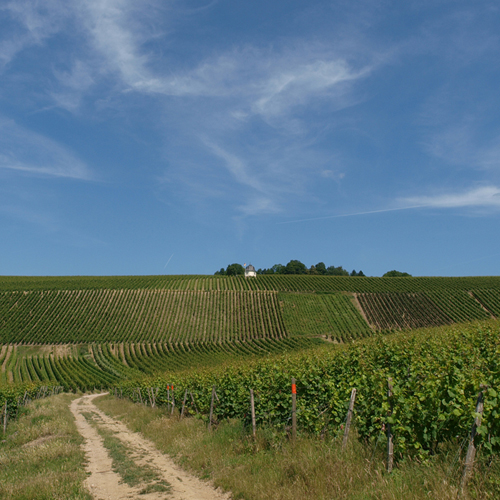 Restaurant Zum Krug in Hattenheim